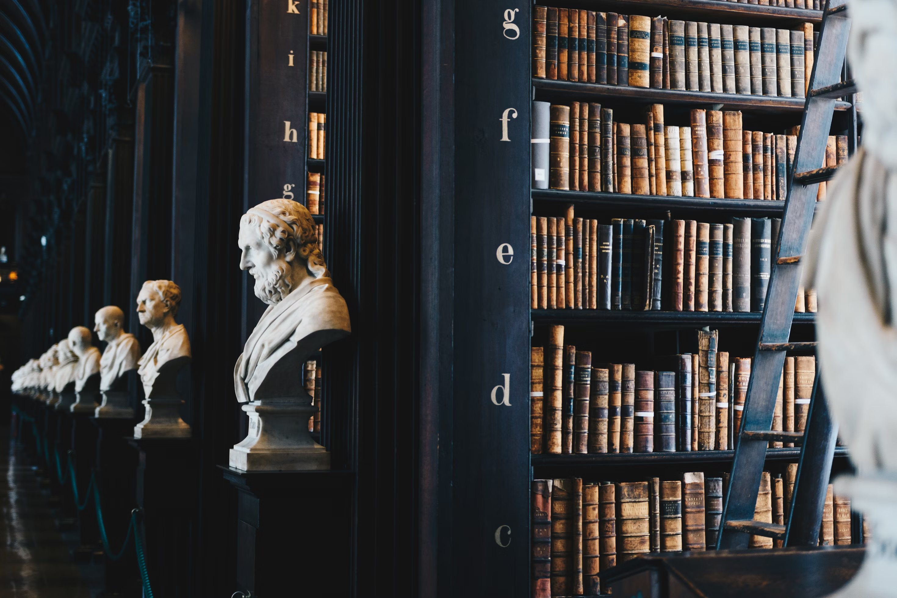 Photo of rows of books in a library with marble busts.